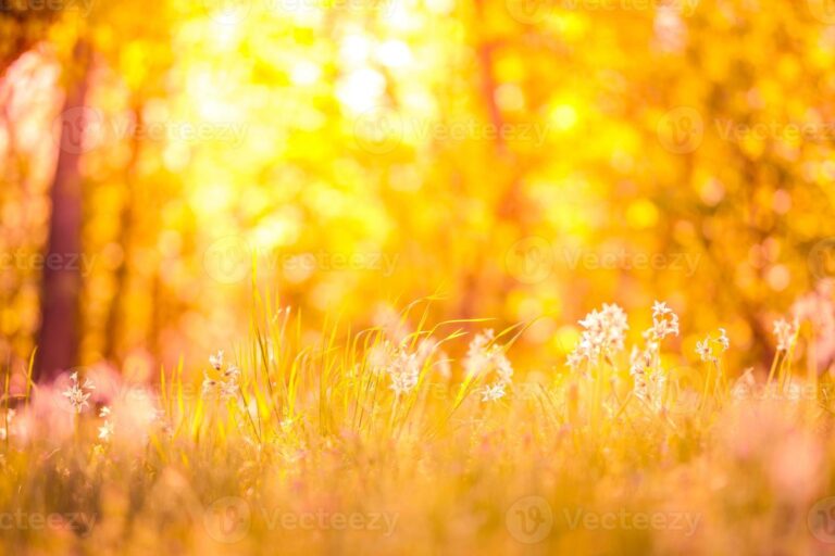 atardecer en primavera con luz dorada