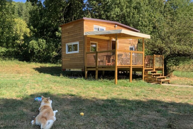 cabana acogedora con perro en el calafate