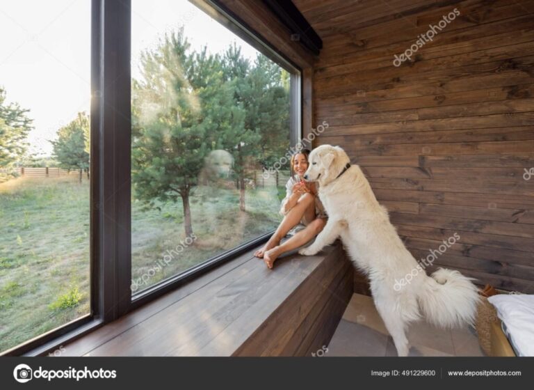 Dónde encontrar cabañas en Potrero de los Funes que aceptan mascotas