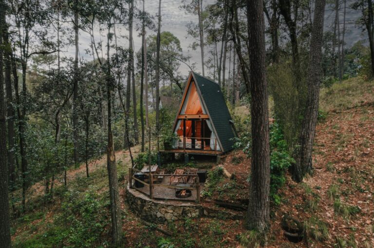 cabanas acogedoras en bosque tranquilo