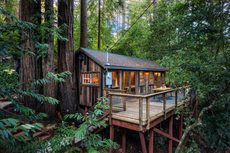 cabanas en bosque natural y actividades al aire libre
