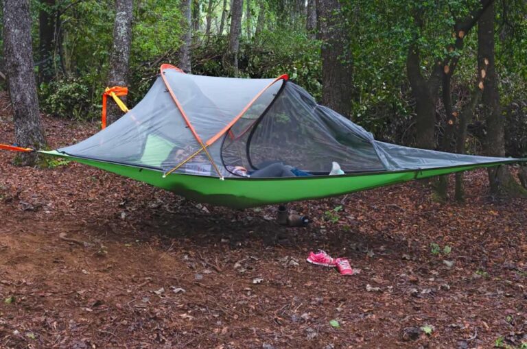 Qué servicios ofrece el Camping Don Cirilo en Pehuenia 5 camping en la naturaleza con carpas y arboles