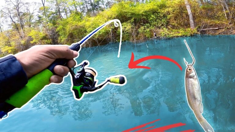 Qué tipo de carnadas vivas son las mejores para el puesto El Dorado 9 carnadas vivas en un fondo de pesca