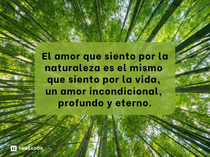 carta de amor en un entorno natural