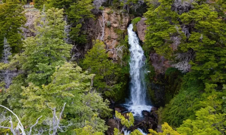 Cuáles son los horarios para visitar la Cascada Los Alerces 18 cascada los alerces en plena naturaleza
