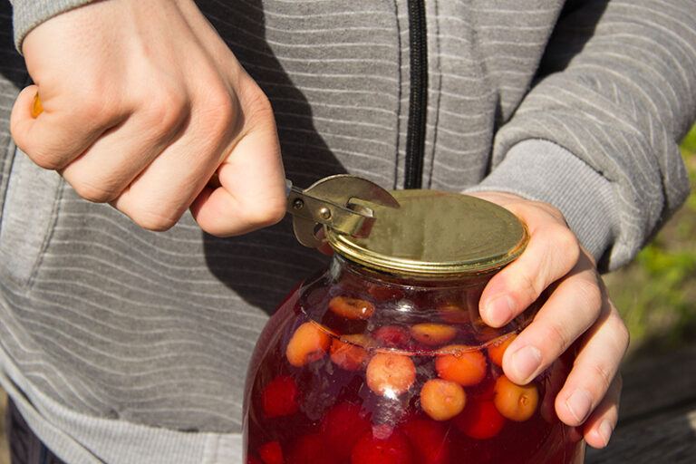 Cómo hacer cerezas al marrasquino en casa de manera fácil 24 cerezas frescas en frascos de vidrio