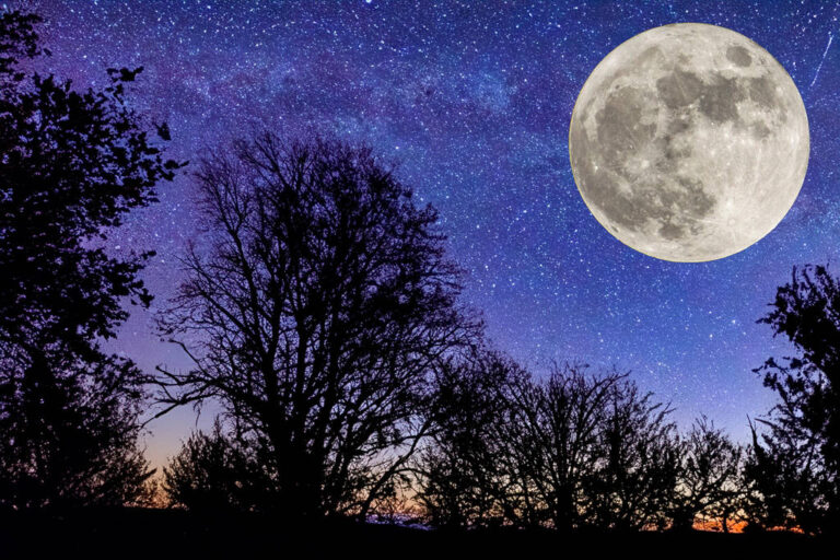 Cómo afecta el cambio de luna en diciembre a las actividades del mes 8 cielo estrellado con luna llena en diciembre
