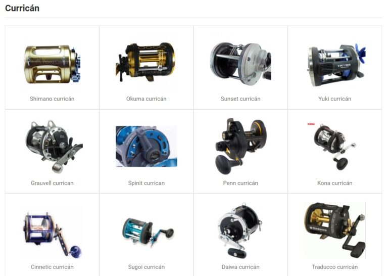 Reel rotativo derecho o izquierdo: cuál elegir para pescar mejor 8 Reel rotativo derecho o izquierdo: cuál elegir para pescar mejor