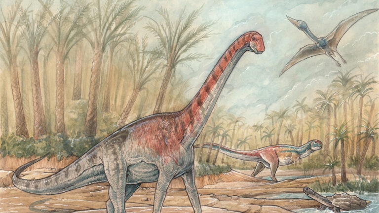 Qué dinosaurios habitaron la Patagonia argentina y cuáles fueron sus características