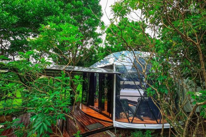 Qué opciones de domos en Lago Puelo son ideales para tu escapada 11 domo transparente rodeado de naturaleza
