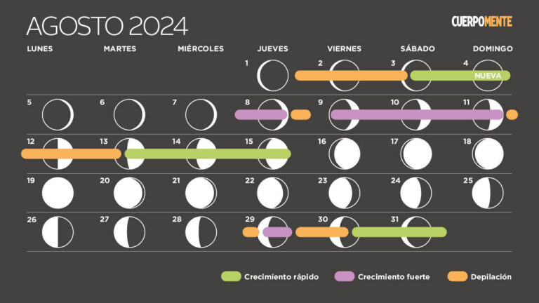 Qué fases tiene el calendario lunar de agosto y su significado 16 fases del calendario lunar en agosto