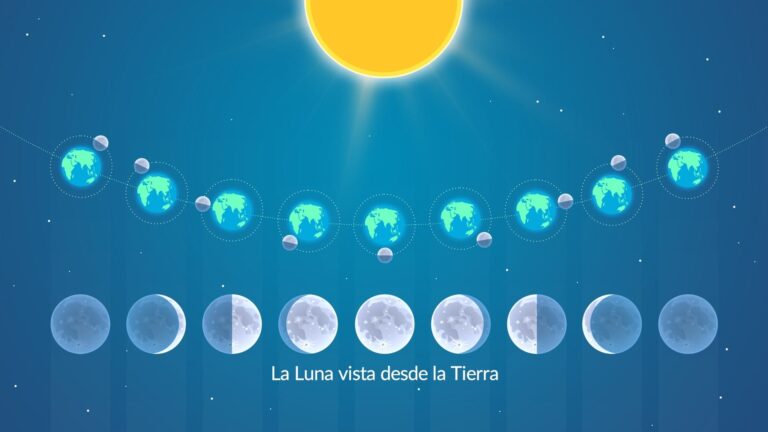 Cuánto dura el ciclo lunar y cuáles son sus fases principales 12 fases del ciclo lunar en el cielo