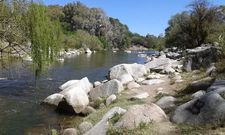 Qué especies componen la fauna de Cruz del Eje en Córdoba