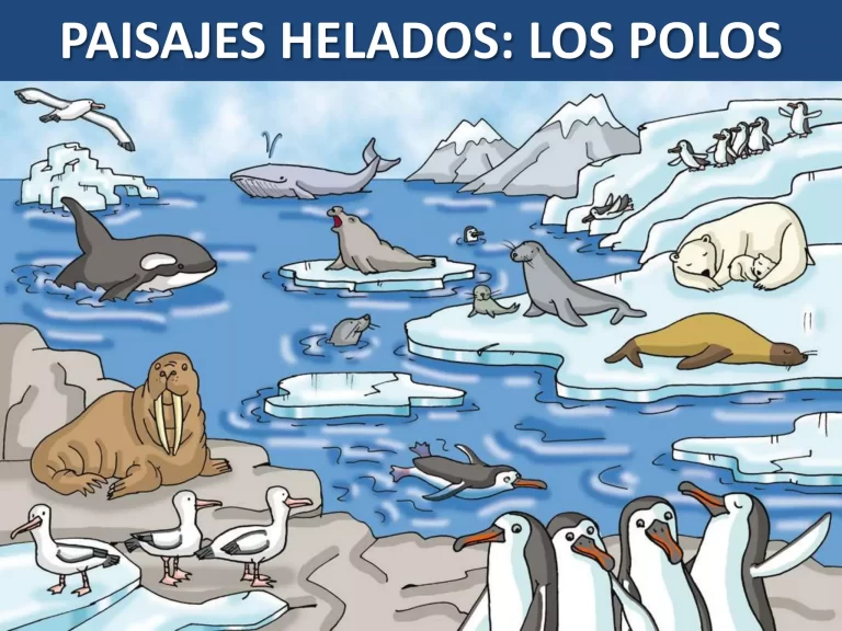 Qué especies componen la flora del Polo Sur y su adaptación 23 flora del polo sur en un paisaje helado