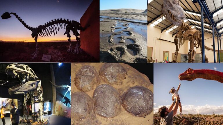 Qué fósiles importantes se han encontrado en Argentina y dónde están 19 fosiles de dinosaurios en un yacimiento argentino