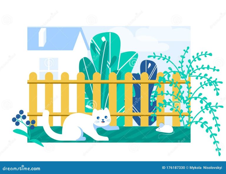 gato observando un raton en el jardin
