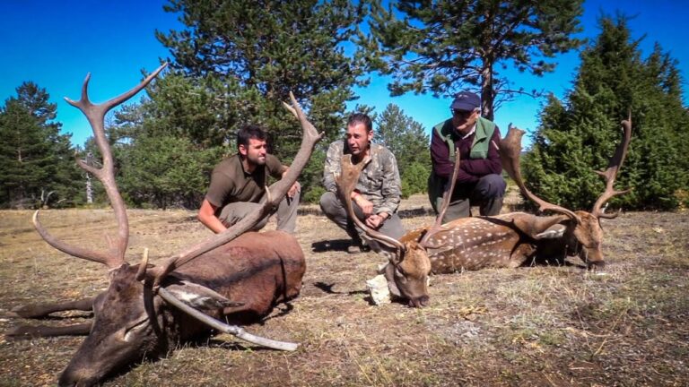 Por qué los hombres cazan animales salvajes y cuál es su impacto 5 Por qué los hombres cazan animales salvajes y cuál es su impacto