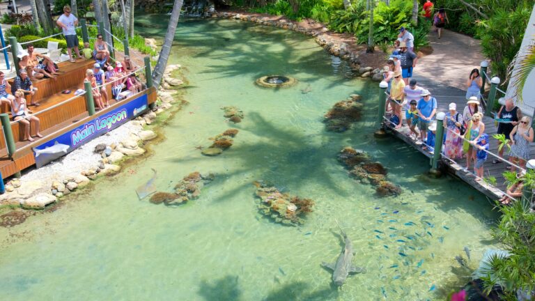 Dónde se encuentra la Isla Club San Fernando y qué actividades ofrece 11 isla tropical con actividades acuaticas