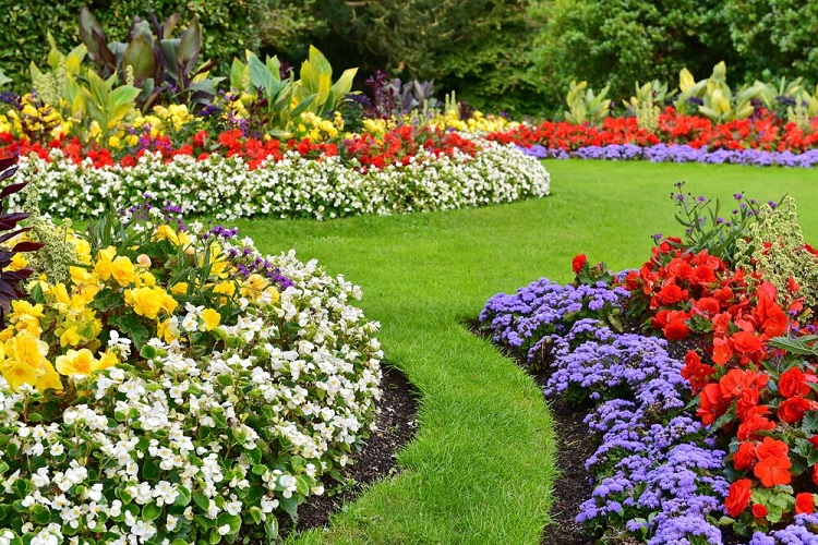Qué servicios y productos ofrece Todo Jardín en Río Cuarto 14 jardin colorido con diversas plantas y flores