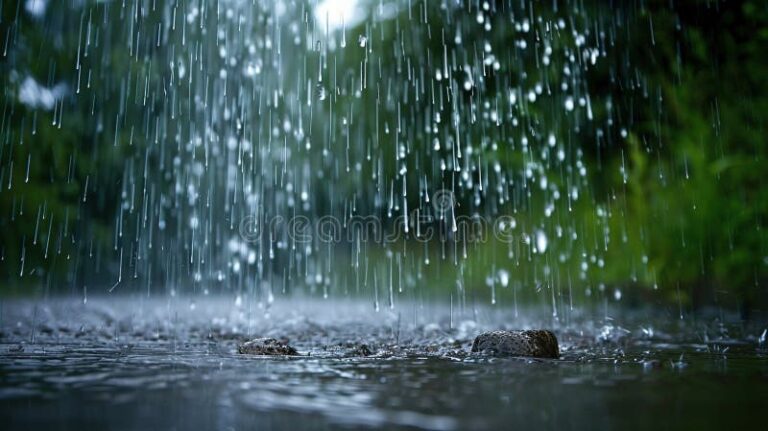 Qué Son las Precipitaciones y Cómo Afectan el Clima 2 lluvia cayendo sobre un paisaje natural