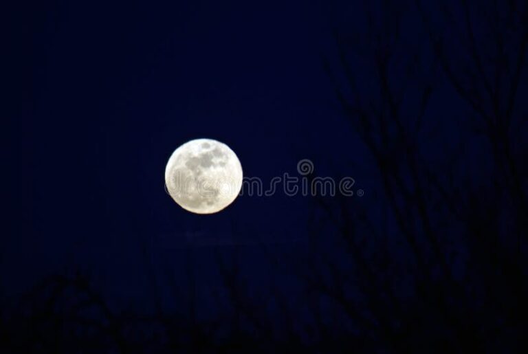 luna llena en un cielo despejado