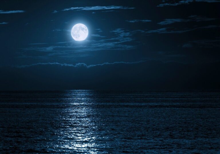 Cuándo fue la última luna llena y cuáles son sus fechas futuras 27 luna llena iluminando el cielo nocturno