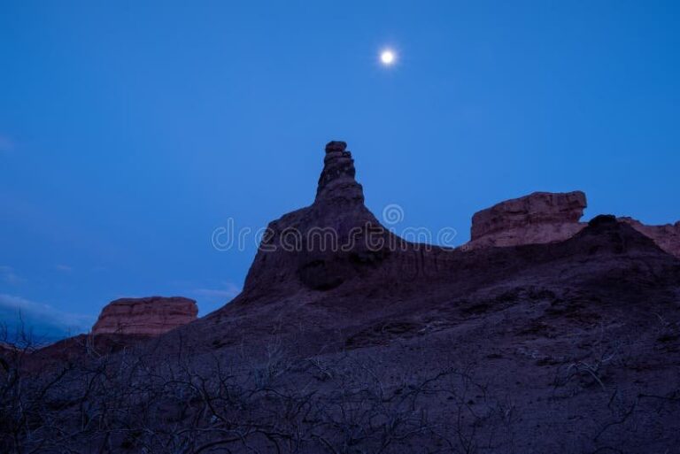 A qué hora se podrá ver el eclipse de luna mañana en Argentina 26 luna llena sobre paisaje argentino nocturno