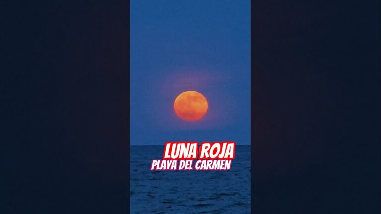 Qué es la luna roja en Playa del Carmen y cuándo se puede ver 29 luna roja sobre playa del carmen