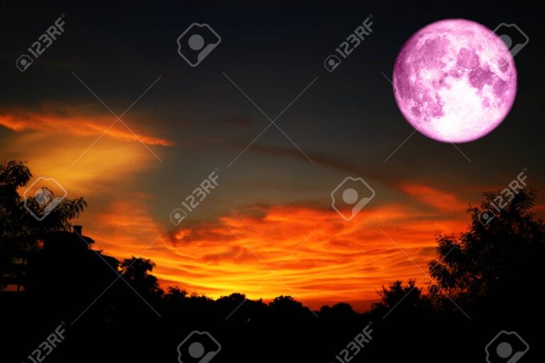 Por qué lado sale la luna y cómo varía su posición en el cielo 2 luna saliendo entre arboles al atardecer