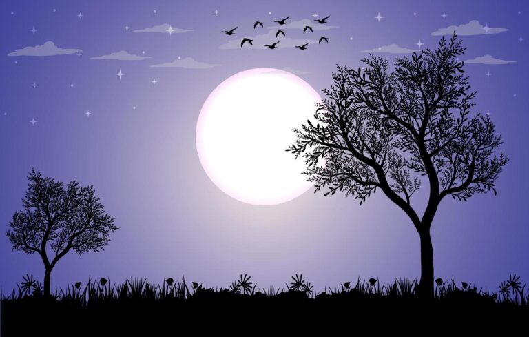 Qué Frases Inspiradoras Sobre La Luna Puedo Compartir 8 luz de luna sobre un paisaje nocturno