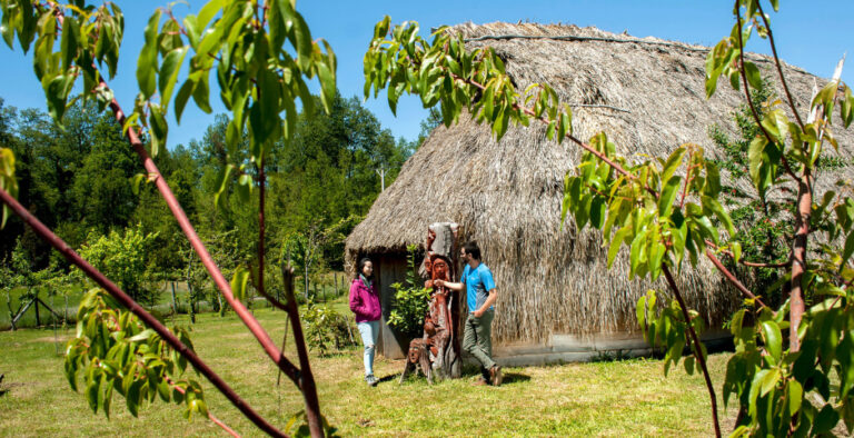 mapuches en su entorno natural