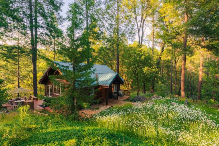 Qué opciones de camping y cabañas ofrece Bahía Club 28 naturaleza y cabanas en bahia club