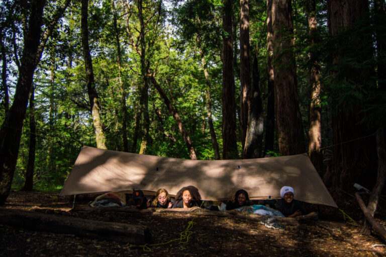 naturaleza y camping en un entorno acogedor