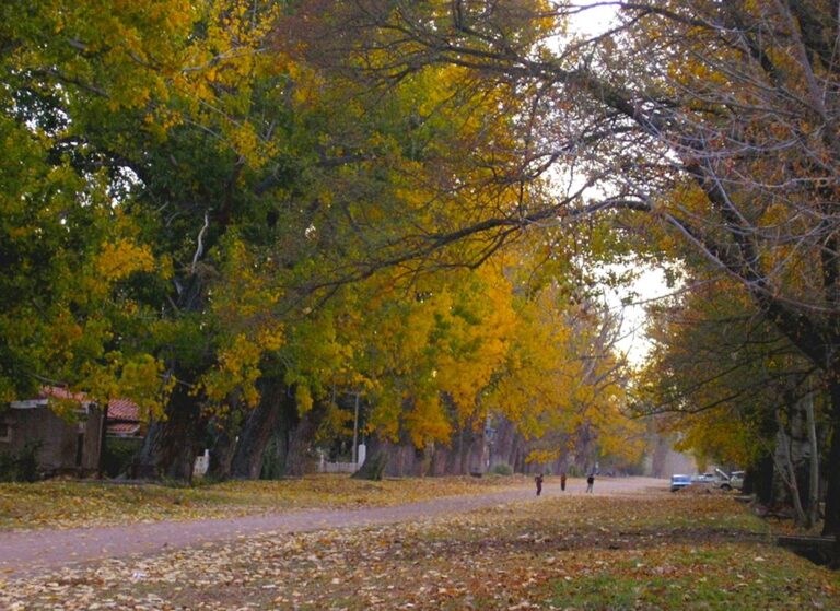 naturaleza y paisajes de villa de mayo