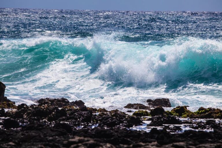 olas rompiendo en la costa