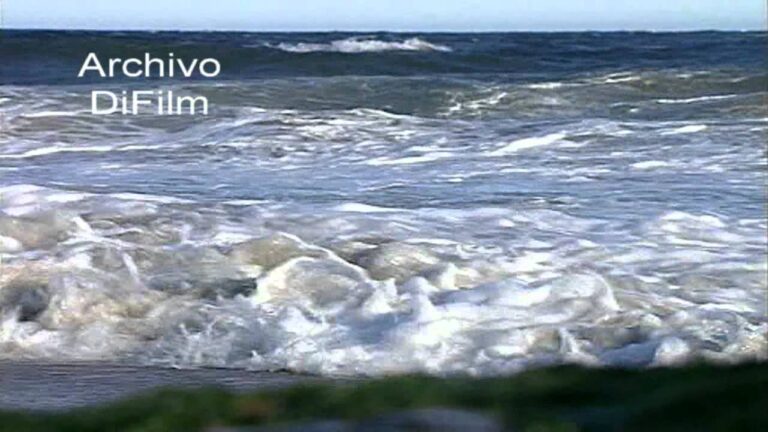 Qué características tienen las olas en Punta del Este 20 olas rompiendo en la playa de punta del este