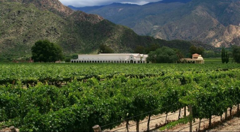 Qué clima y pronóstico del tiempo hay en Cafayate, Salta, Argentina 26 paisaje de cafayate con montanas y vinedos