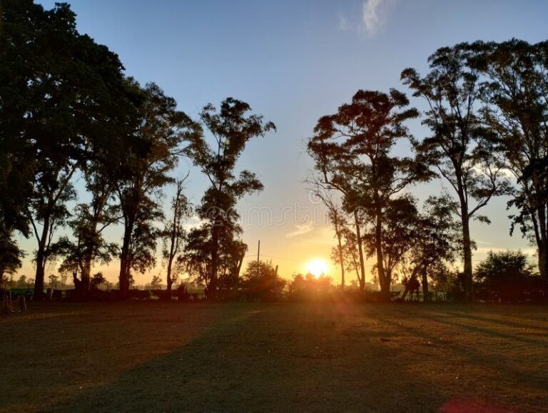 Dónde disfrutar de un excelente día de campo en Argentina