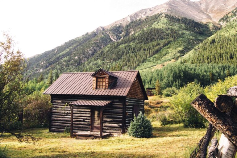Qué características definen a la gente del sur en Ushuaia 17 paisaje de montana con casas de madera