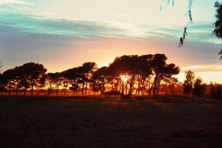 paisaje de santa rosa argentina al amanecer