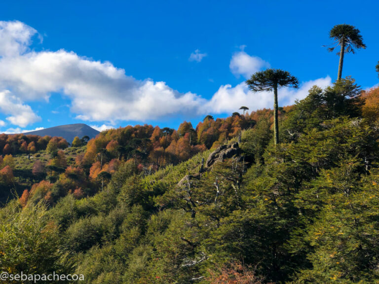 paisaje mapuche con montanas y naturaleza