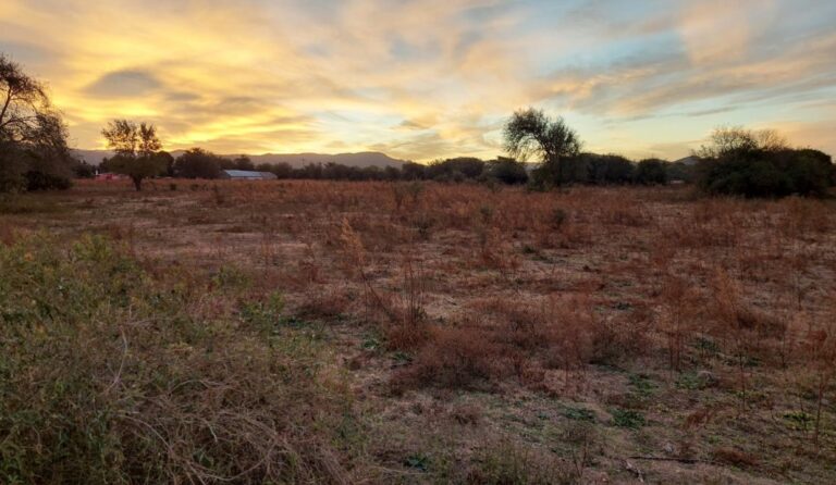 Qué clima hace en Falda del Carmen durante todo el año 29 paisaje natural de falda del carmen