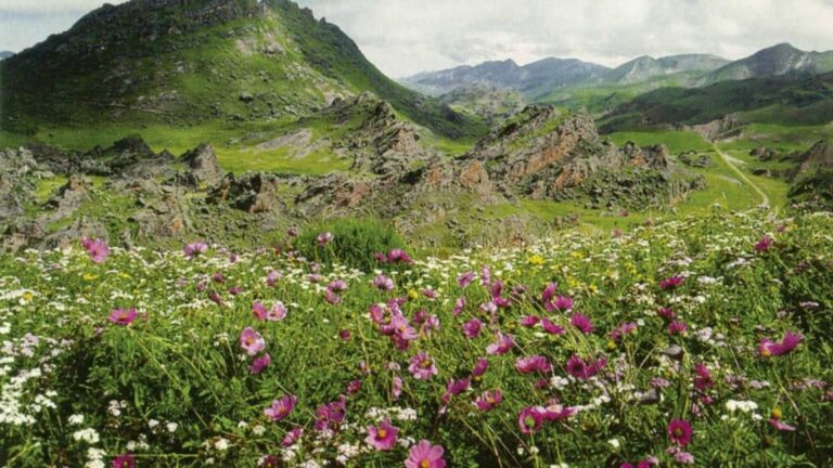 Cuáles son las atracciones del Valle Encantado en el Río Limay