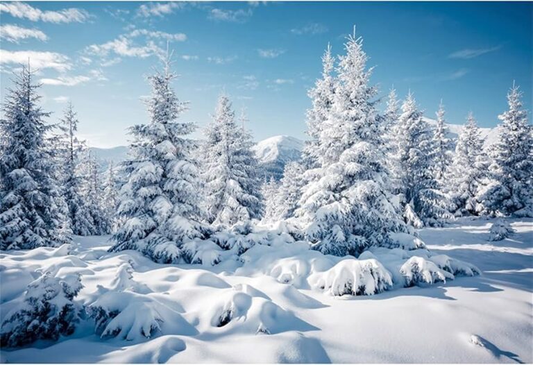 Por qué es invierno y qué factores influyen en esta estación 11 paisaje nevado en un bosque invernal