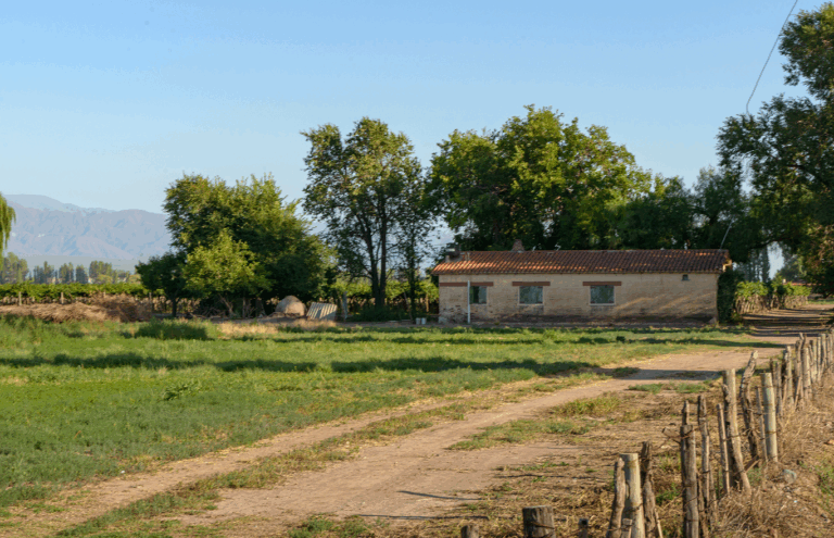 Cómo afectan las contingencias climáticas a San Martín, Mendoza