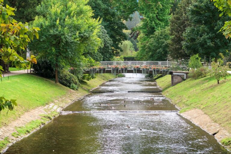 parque natural con paisajes de baden baden