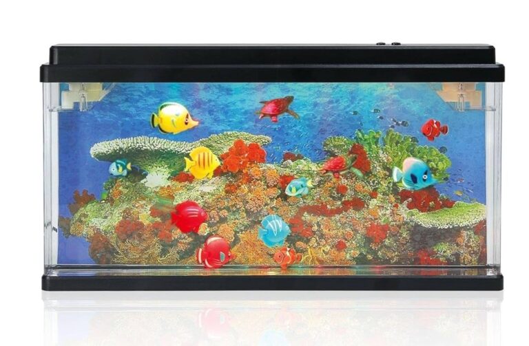Cuántos peces se pueden tener en una pecera de forma segura 3 Cuántos peces se pueden tener en una pecera de forma segura