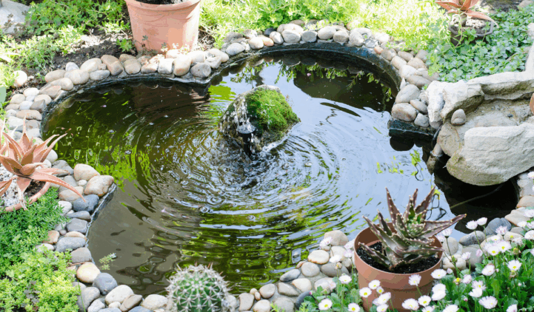 Qué sinónimos existen para "estanque pequeño para tener peces" 4 pequeno estanque natural con peces