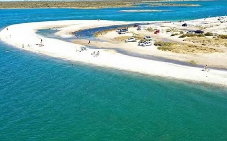 Dónde encontrar las perdices en Río Negro y cómo cazarlas 14 perdices en un paisaje patagonico