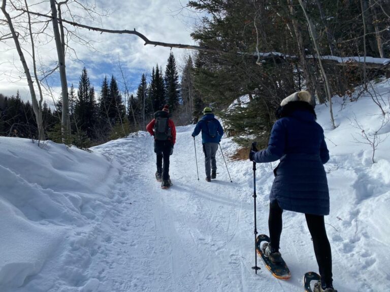 Cómo caminar en la nieve con raquetas de forma segura y divertida